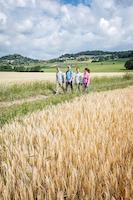 Wandern im Jura